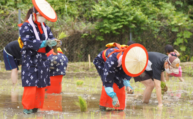 走井体験農場らんらん走井