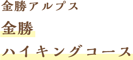 金勝アルプス 金勝ハイキングコース