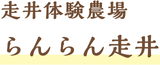 走井体験農場らんらん走井