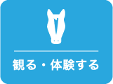 観る・体験するスポット