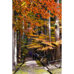 最優秀賞「山道賛歌」