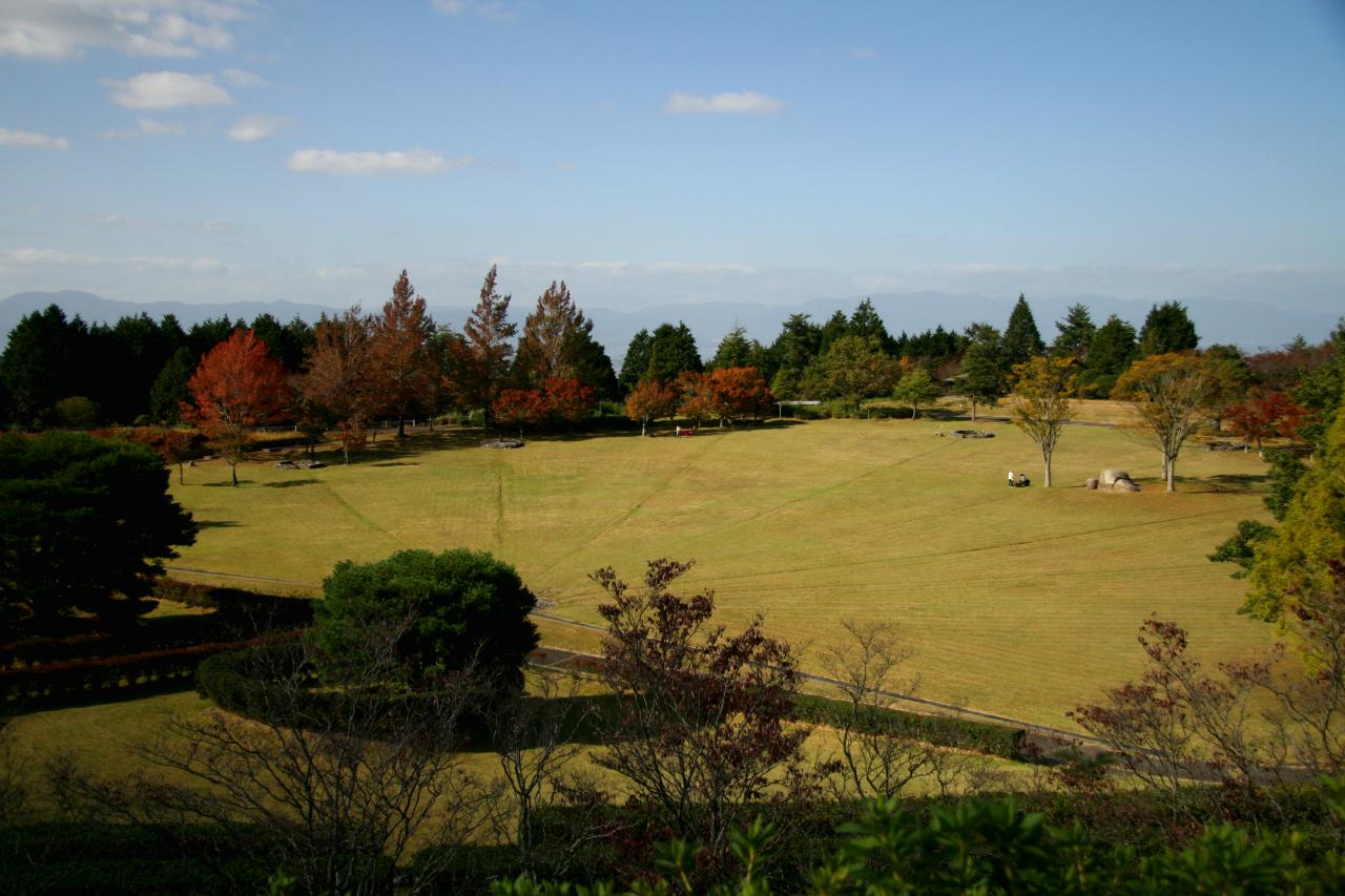 こんぜ天馬の森