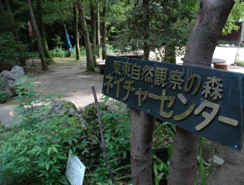 栗東自然観察の森だより8月度 イベント開催中止【2022.8.5更新】
