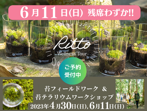 【6月11日受付中】金勝寺　苔テラリウム制作＆フィールドワークご...