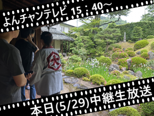 本日(5/29)MBS「よんチャンテレビ」で「旧和中散本舗」が放送!!