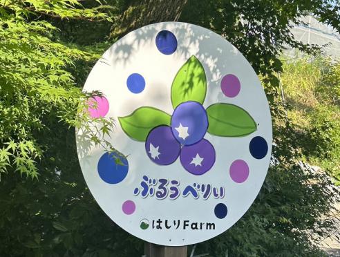 はしりFarm　ブルーベリー観光農園