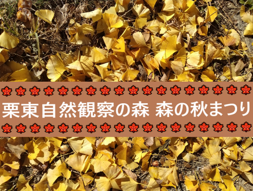 栗東自然観察の森「森の秋まつり」開催 