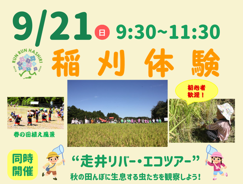 9/21(日)【走井】稲刈り体験 参加募集中