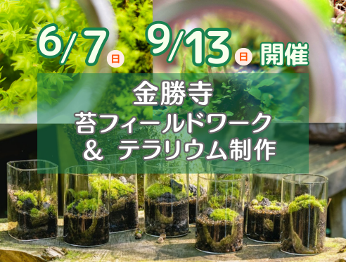 お申込受付中【6/7,9/13】金勝寺　苔フィールドワーク&テラリウム...