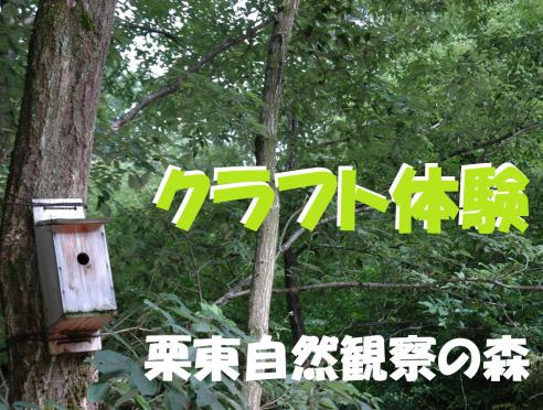 栗東自然観察の森だより令和8年5月のイベントのご案内