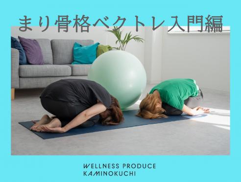 まり骨格ベクトレ入門編「今の私」の整え方