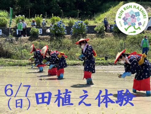  【6/7】 田植え体験 参加者募集中!