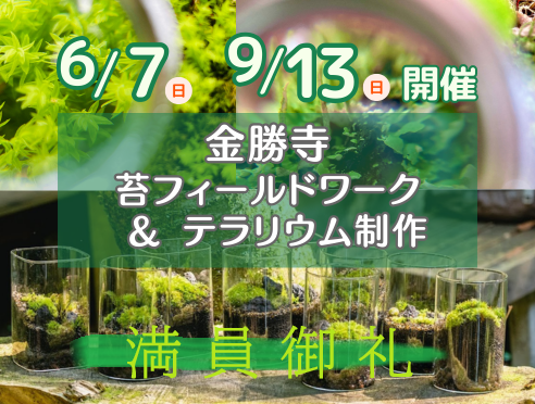 【満員御礼】9/13(日)金勝寺 苔フィールドワーク&テラリウム制作