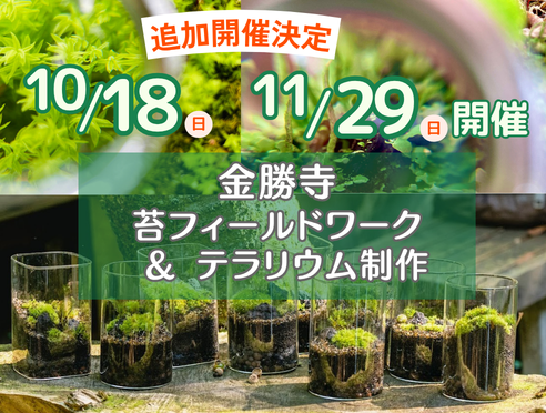 【追加開催決定】金勝寺 苔フィールドワーク&テラリウム制作